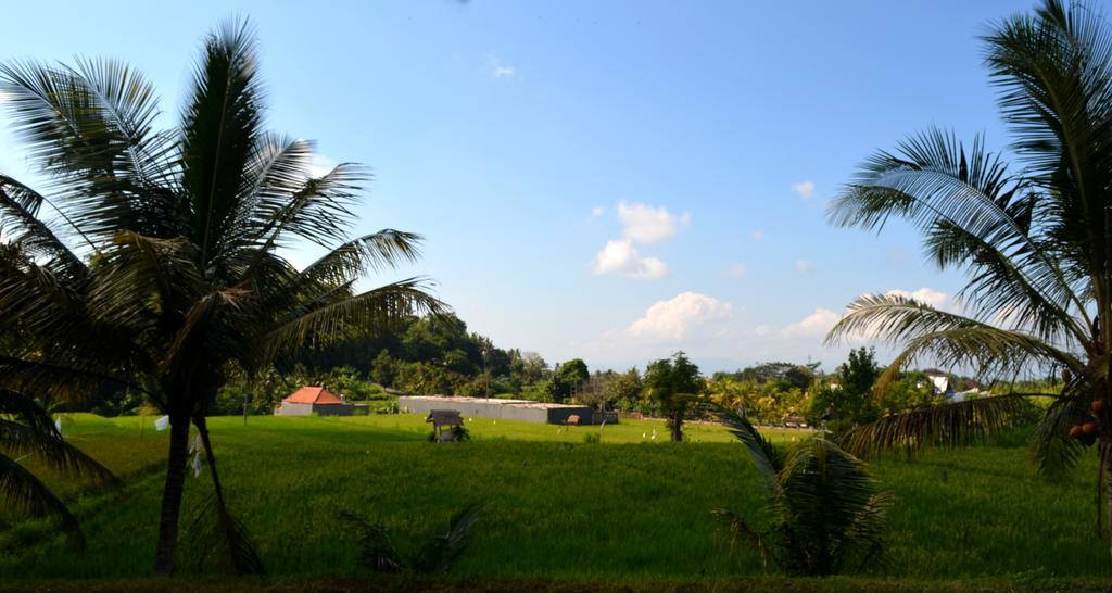 Wahyu Dewata Hotel Gianyar  Luaran gambar