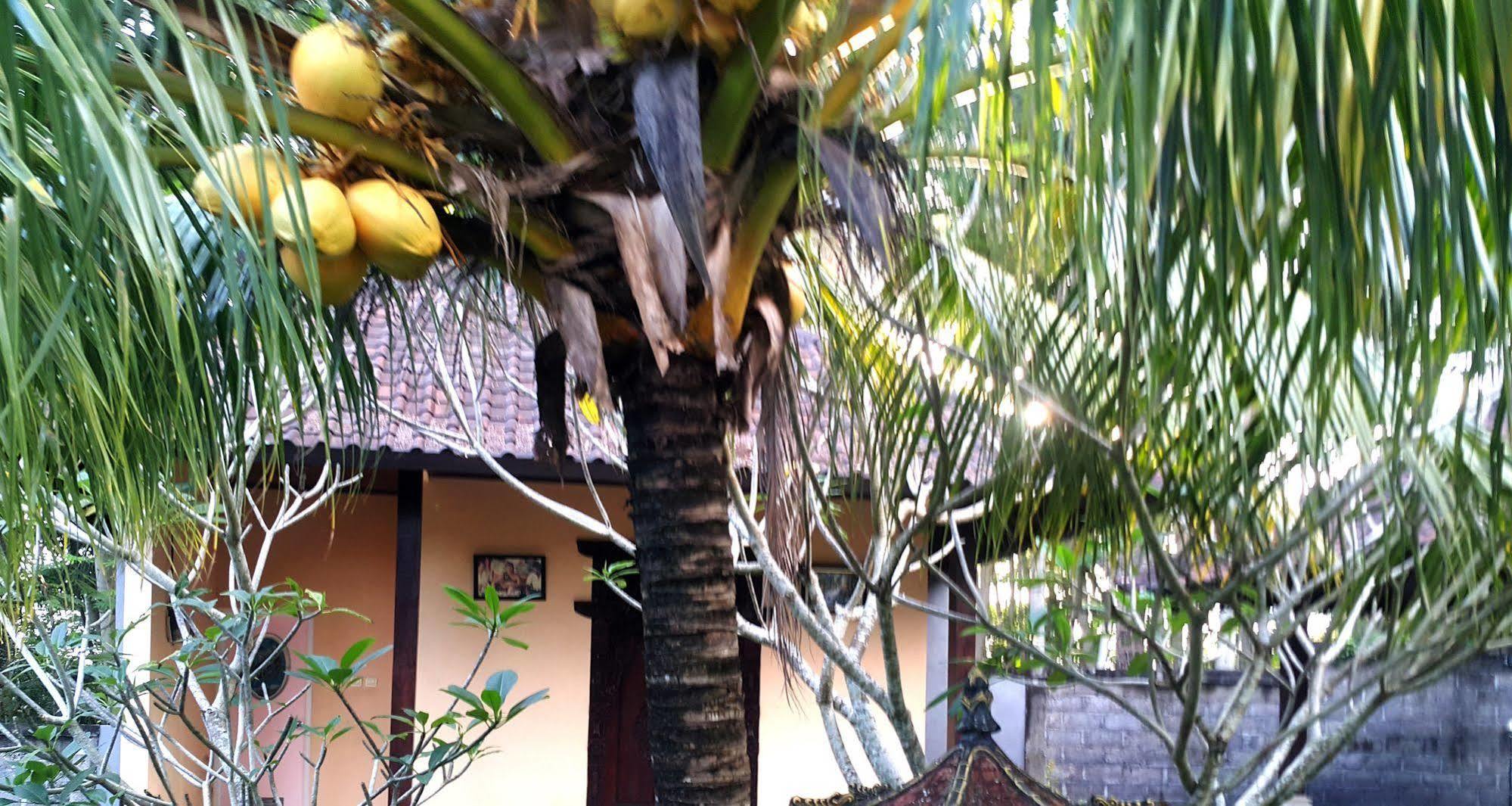 Wahyu Dewata Hotel Gianyar  Luaran gambar